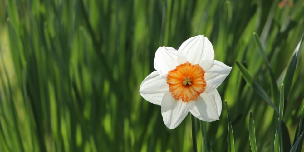 március 15 hosszú hétvége