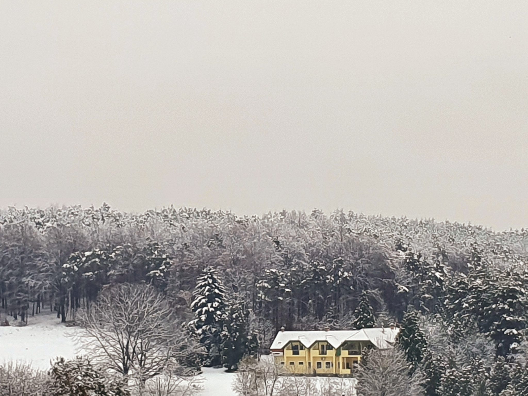 teli-borito