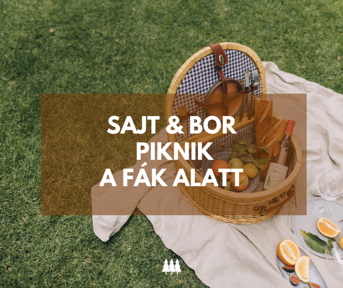 reklámok (Facebook Post (Landscape)) (7)