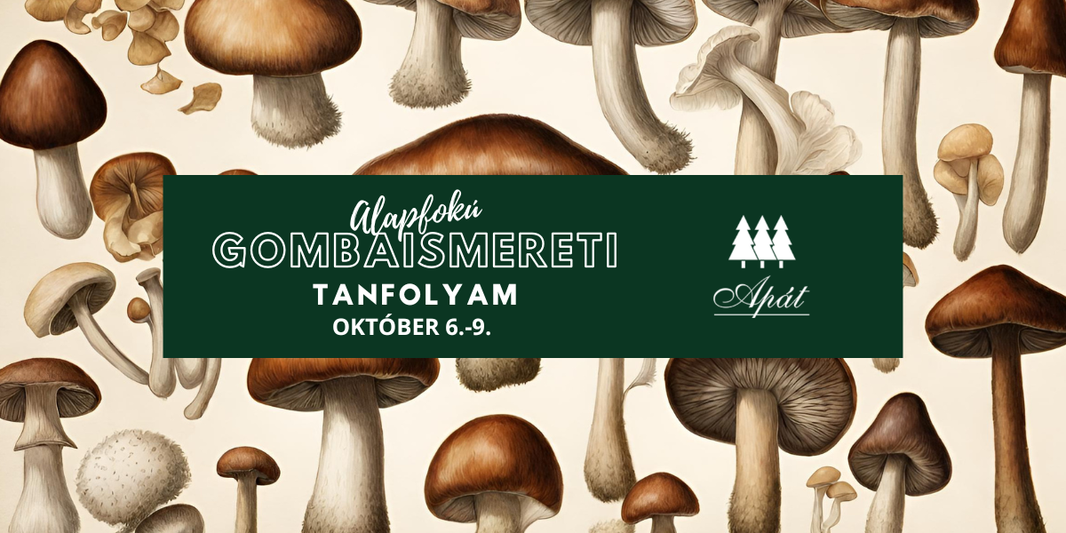 Apát – Facebook (10)