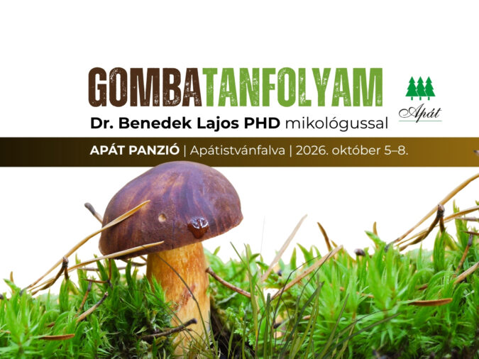 Apat panzio gombatanfolyam_web_2026